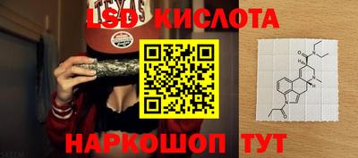 прущие грибы Бердск
