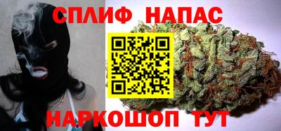 прущие грибы Бердск