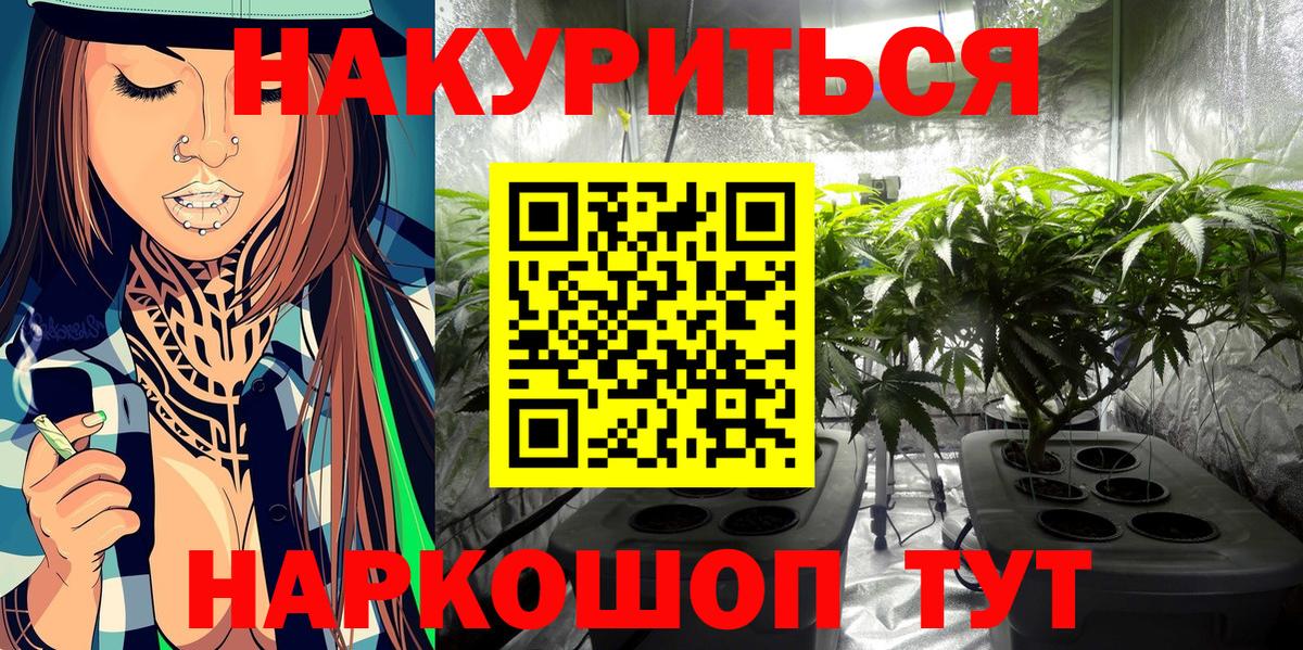 Канабис Bruce Banner  Конопля конопля  Дербент  Конопля план  Вход с VPN 